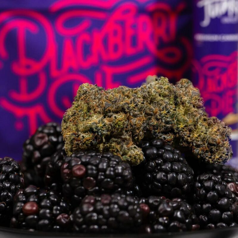 BLACKBERRY PIE STRAIN BUY BLACKBERRY PIE STRAIN ONLINE